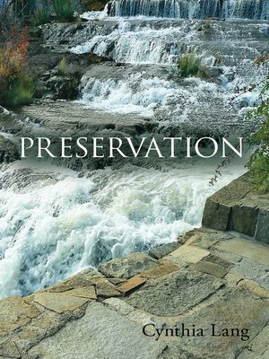 cover image of Preservation